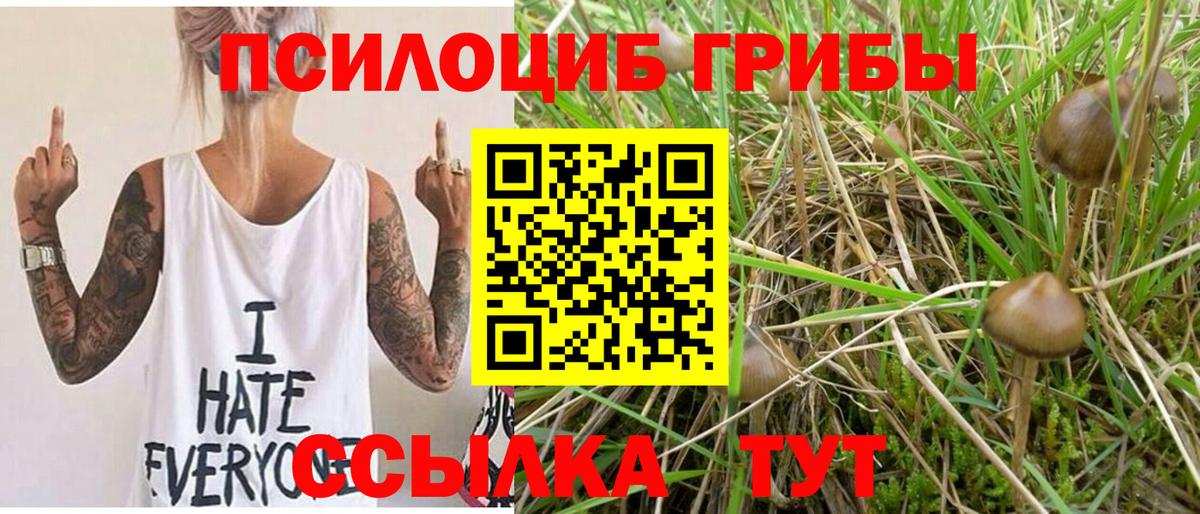Родники  Галлюциногенные грибы GOLDEN TEACHER  Вход с VPN  Галлюциногенные грибы Psilocybe 