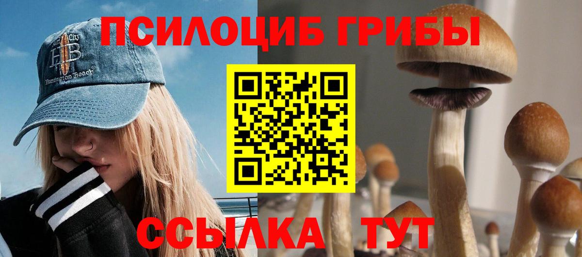 Псилоцибиновые грибы мицелий Родники